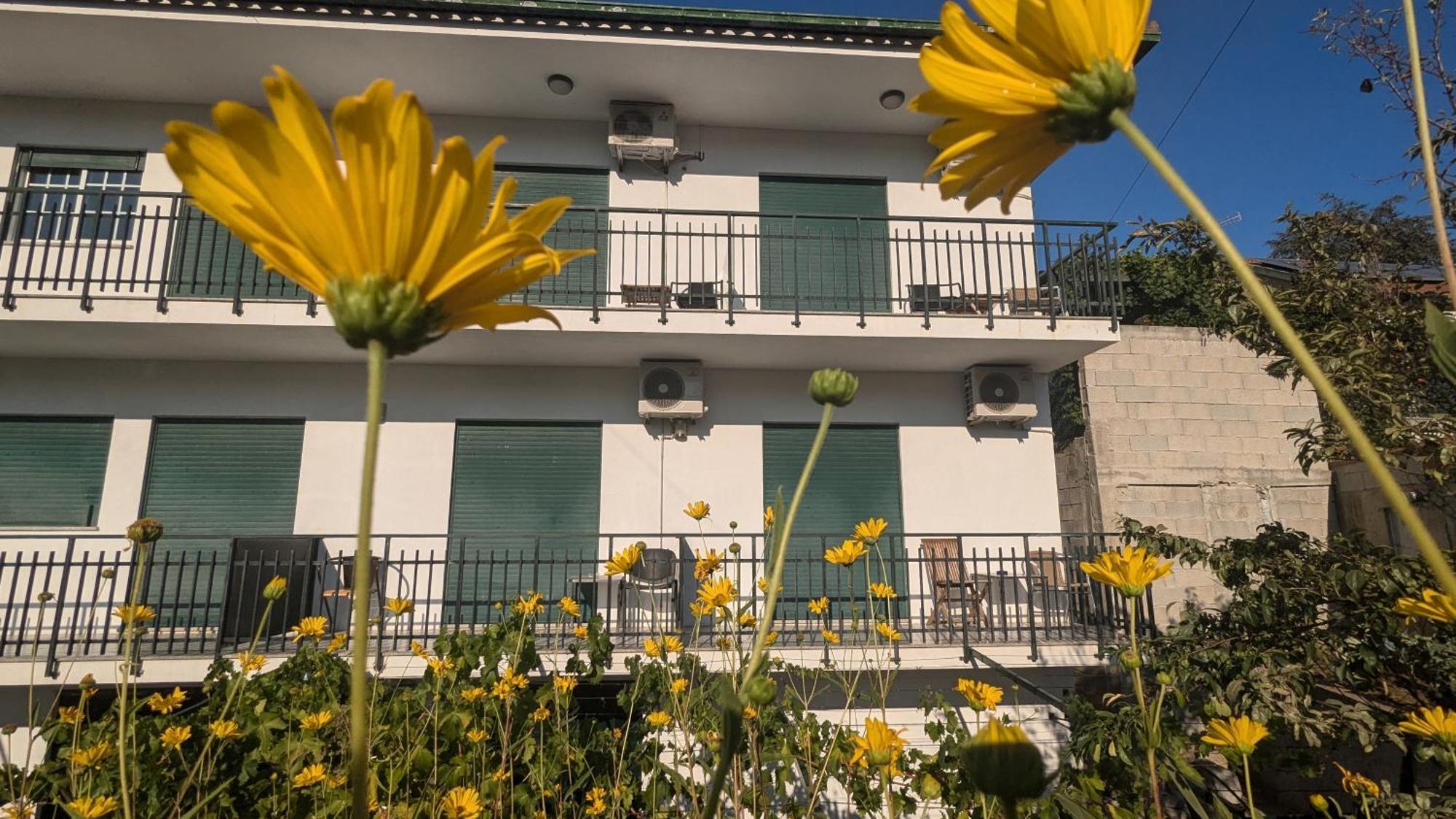 Casa Do Olival Hotel Peso da Regua Exterior photo